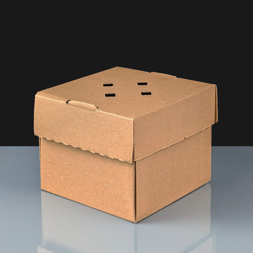 SMALL COROGUTED BUGER BOX - Image 3