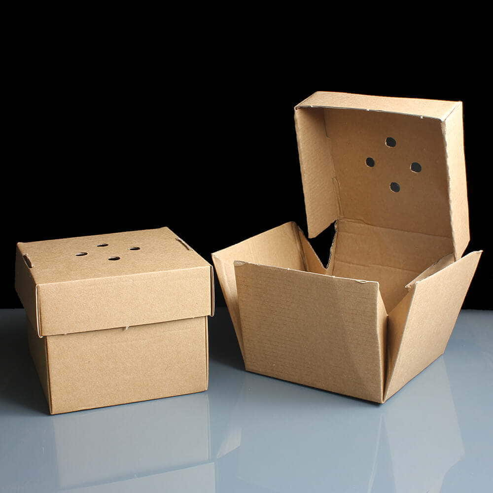 SMALL COROGUTED BUGER BOX - Image 2