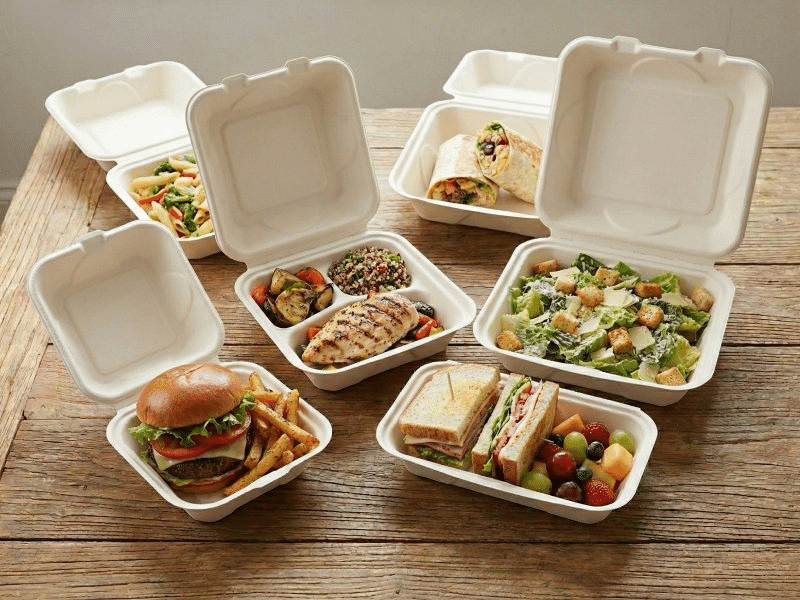 BAGASSE FOOD CONTAINERS AND PLATES